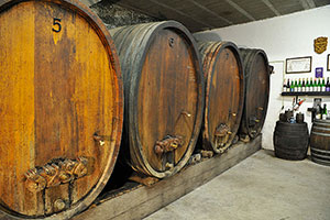 La culture des grands vins et crémants d’Alsace